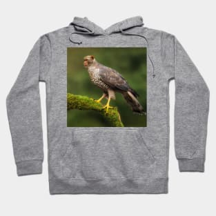 Monkeagle Hoodie